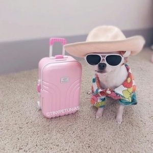 Meet your Posher, Miranda